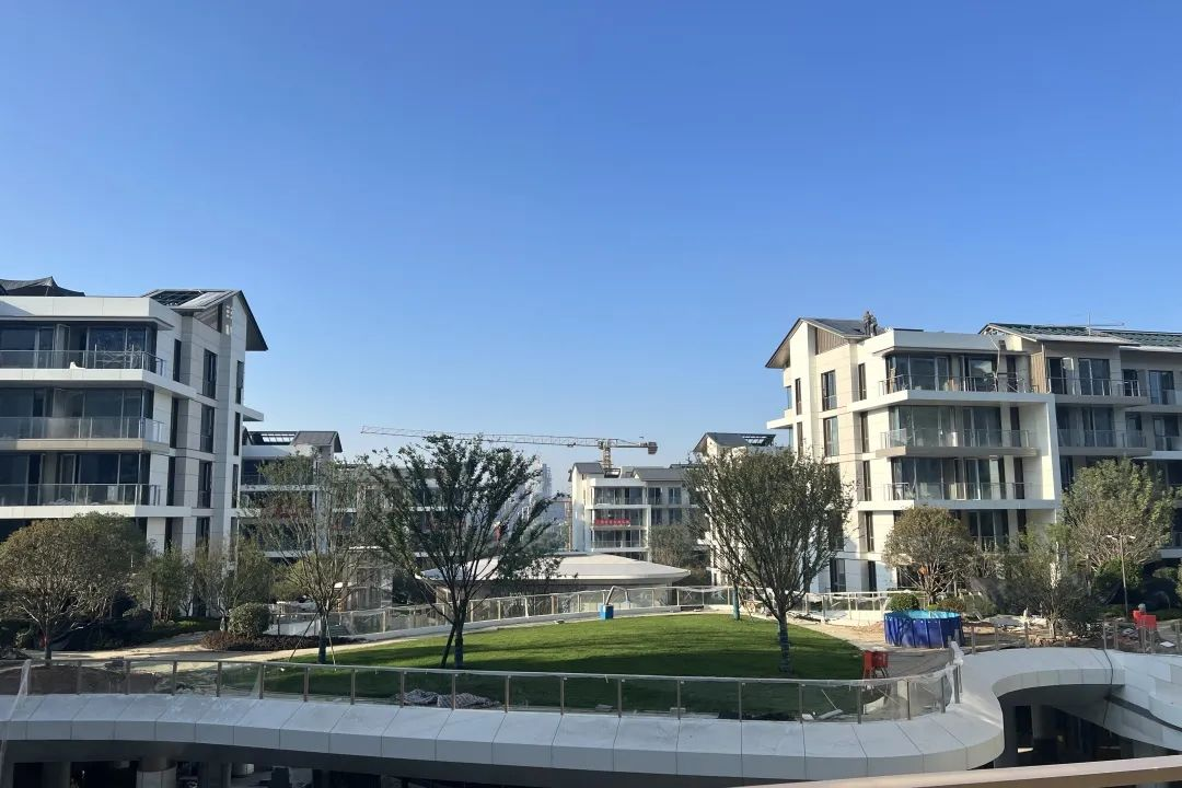 图片 1.png 图片 1.png